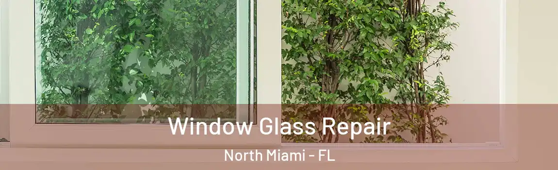  Window Glass Repair North Miami - FL